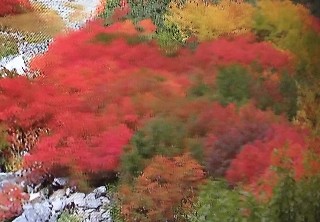 f:id:ainisi:20201213113756j:plain