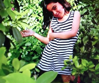 f:id:ainisi:20201213145004j:plain