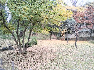 f:id:ainisi:20210115132236j:plain