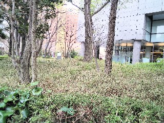 f:id:ainisi:20210330001652j:plain