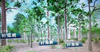 f:id:ainisi:20210517021113j:plain