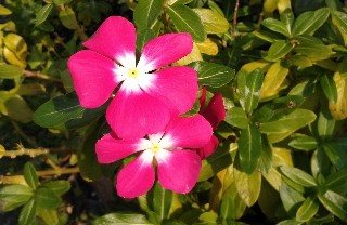 f:id:ainisi:20211102035112j:plain