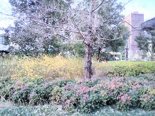 f:id:ainisi:20211222025904j:plain
