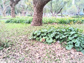 f:id:ainisi:20211222032713j:plain