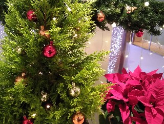 f:id:ainisi:20211222214341j:plain