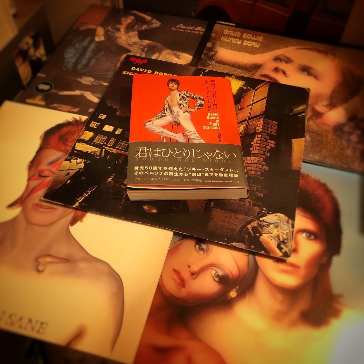 f:id:ainocorrida:20220213204350j:plain