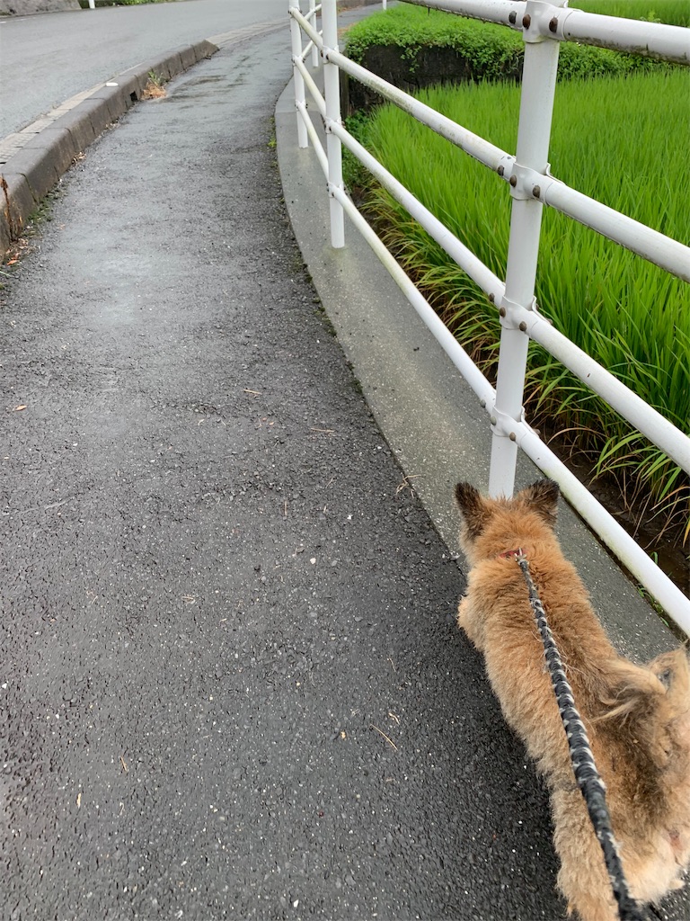 f:id:ainohyoshiki:20190825233337j:image f:id:ainohyoshiki:20190825233337j:image