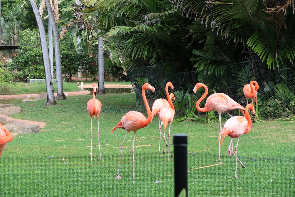 f:id:aiooblog:20190304124149j:plain