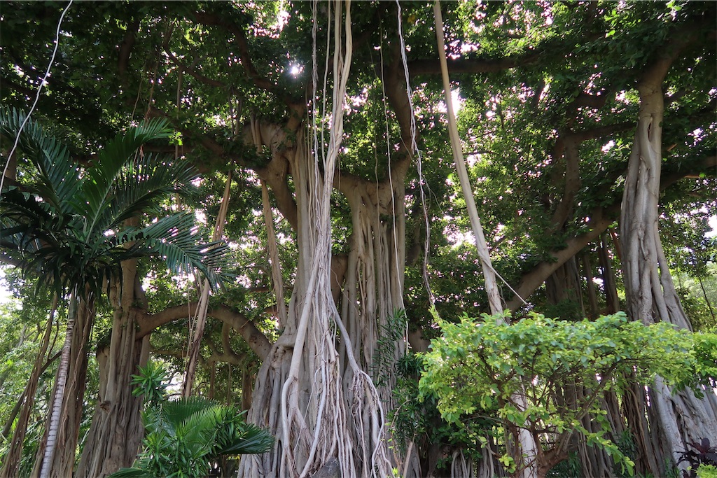 f:id:aiooblog:20190304124203j:plain