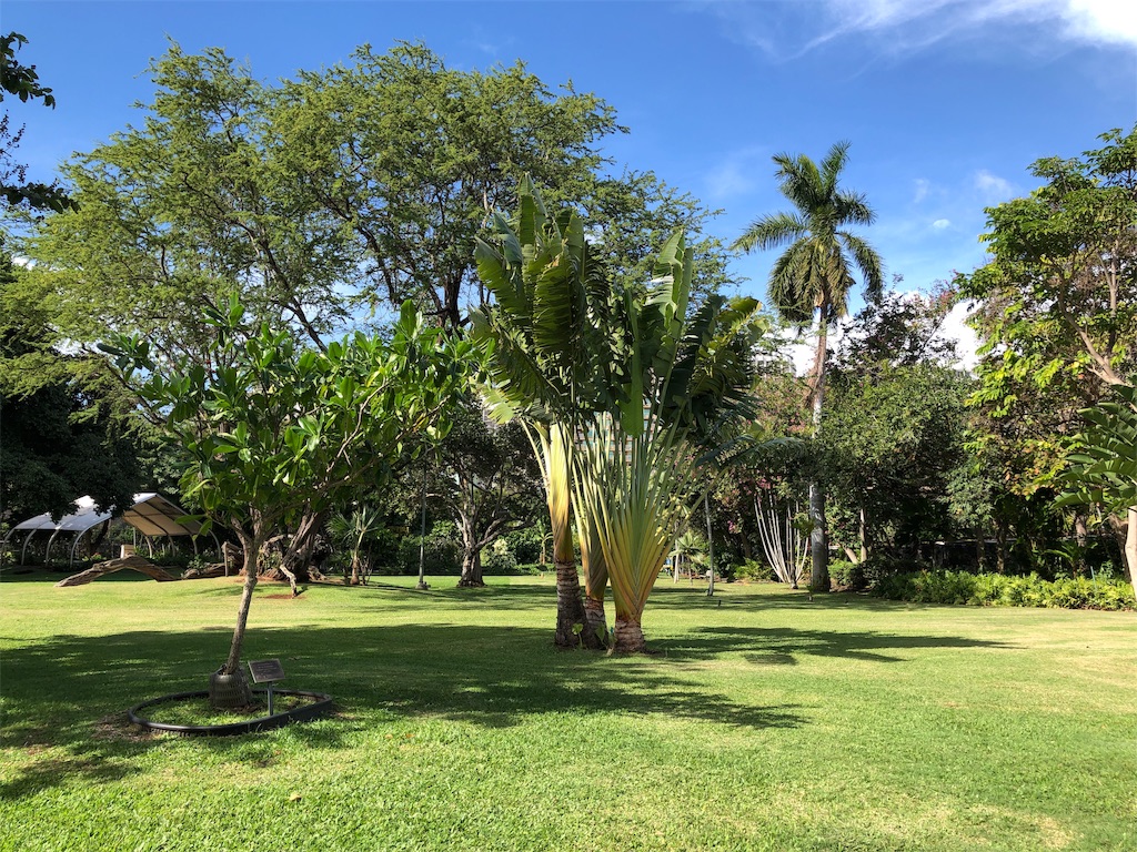 f:id:aiooblog:20190304124210j:plain