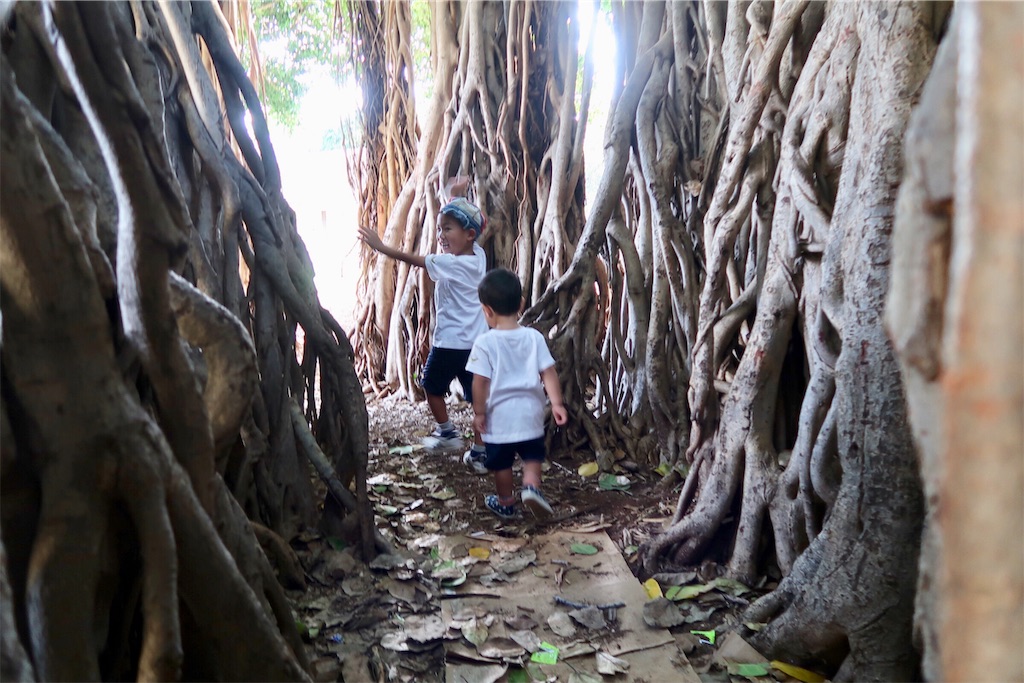 f:id:aiooblog:20190304143401j:plain