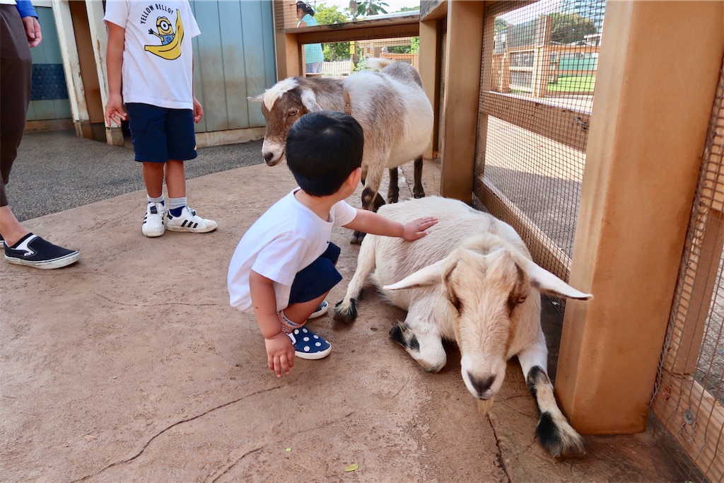 f:id:aiooblog:20190304143405j:plain