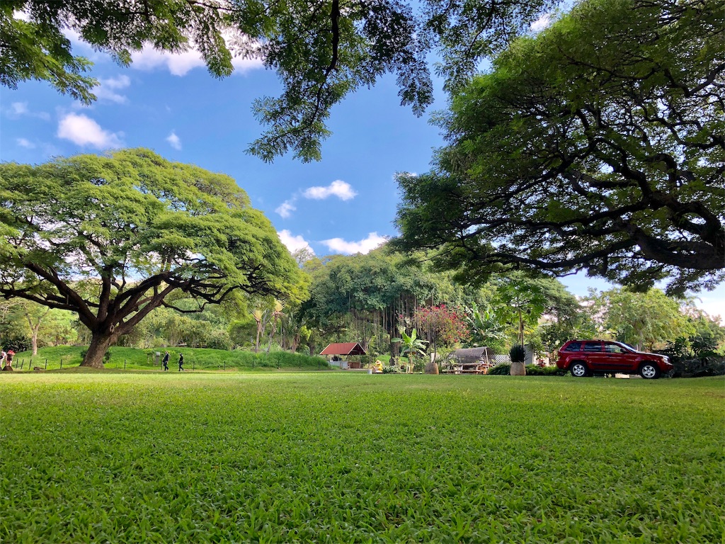 f:id:aiooblog:20190304144222j:plain