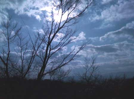 f:id:aip2009:20090223213252j:image