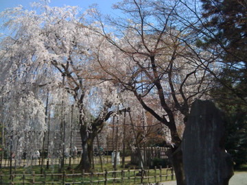 f:id:aip2009:20090410003114j:image