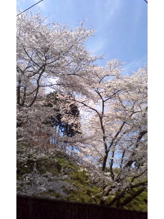 f:id:aipon2004:20100404105948j:image f:id:aipon2004:20100404105948j:image