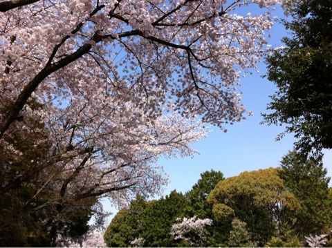 f:id:aipon2004:20110410145416j:image