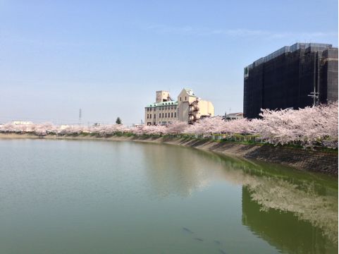 f:id:aipon2004:20130405080637j:image