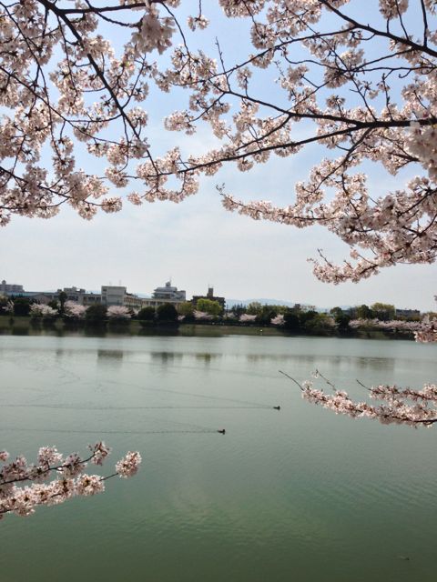 f:id:aipon2004:20130405080908j:image