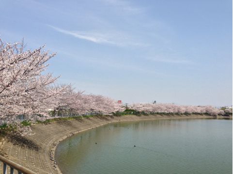 f:id:aipon2004:20130405081042j:image