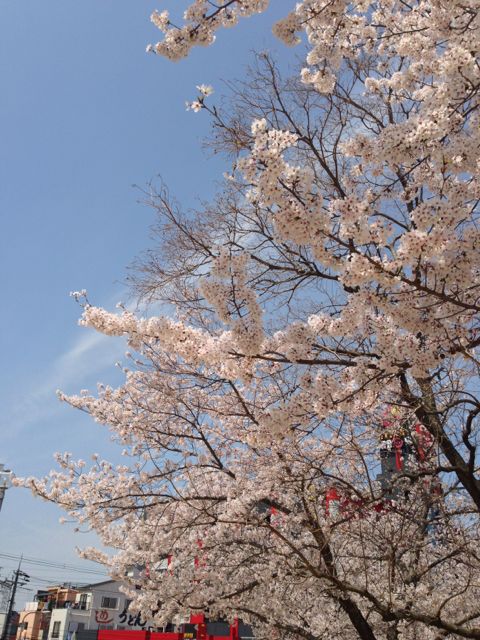 f:id:aipon2004:20130405081247j:image