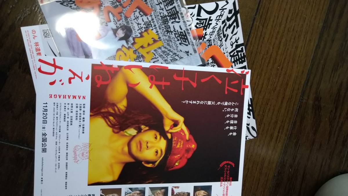 f:id:airaingood:20201108134919j:plain