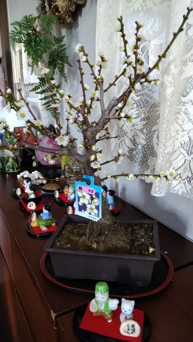 f:id:airaingood:20201228123844j:plain
