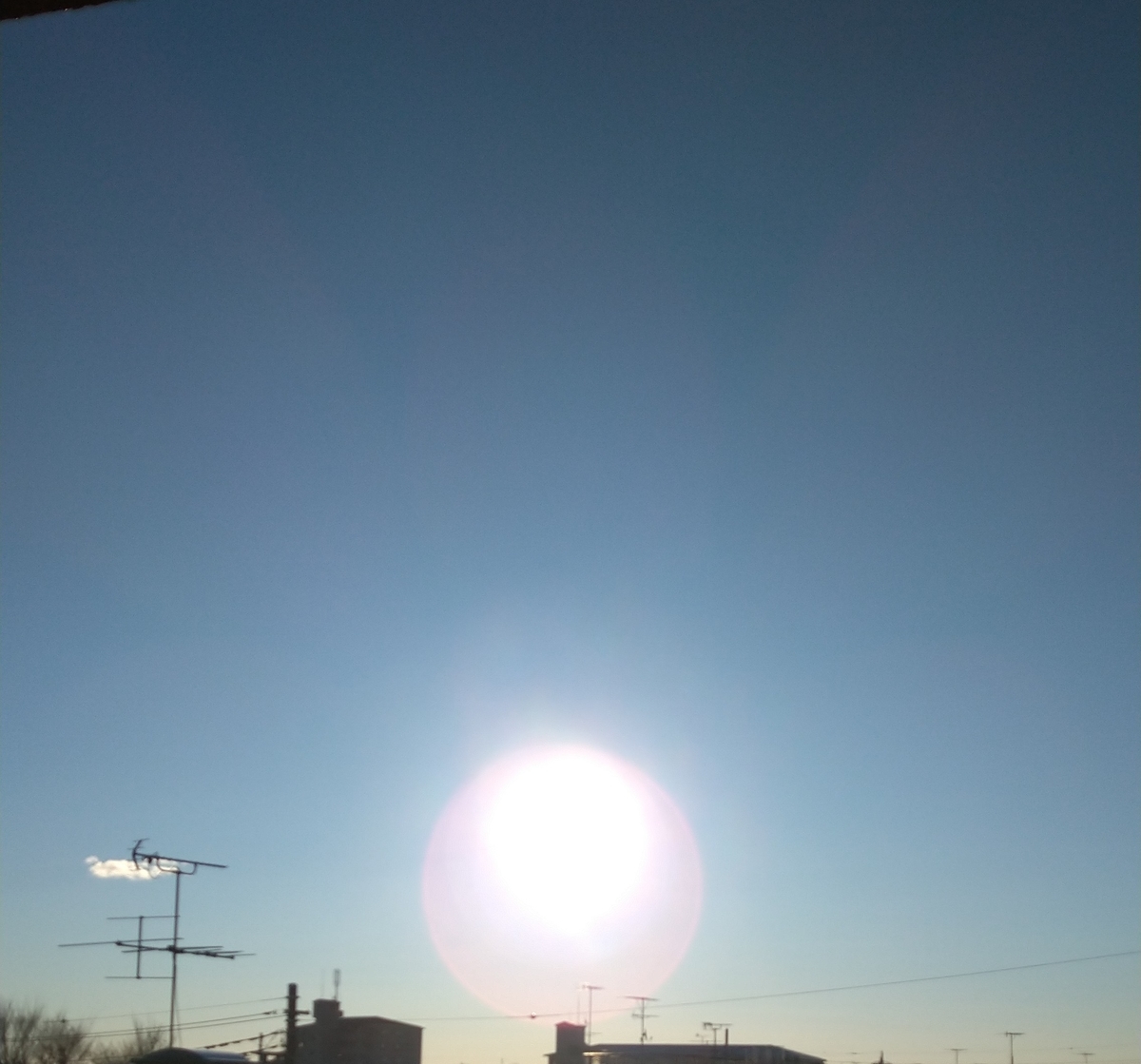 f:id:airaingood:20210101231552j:plain