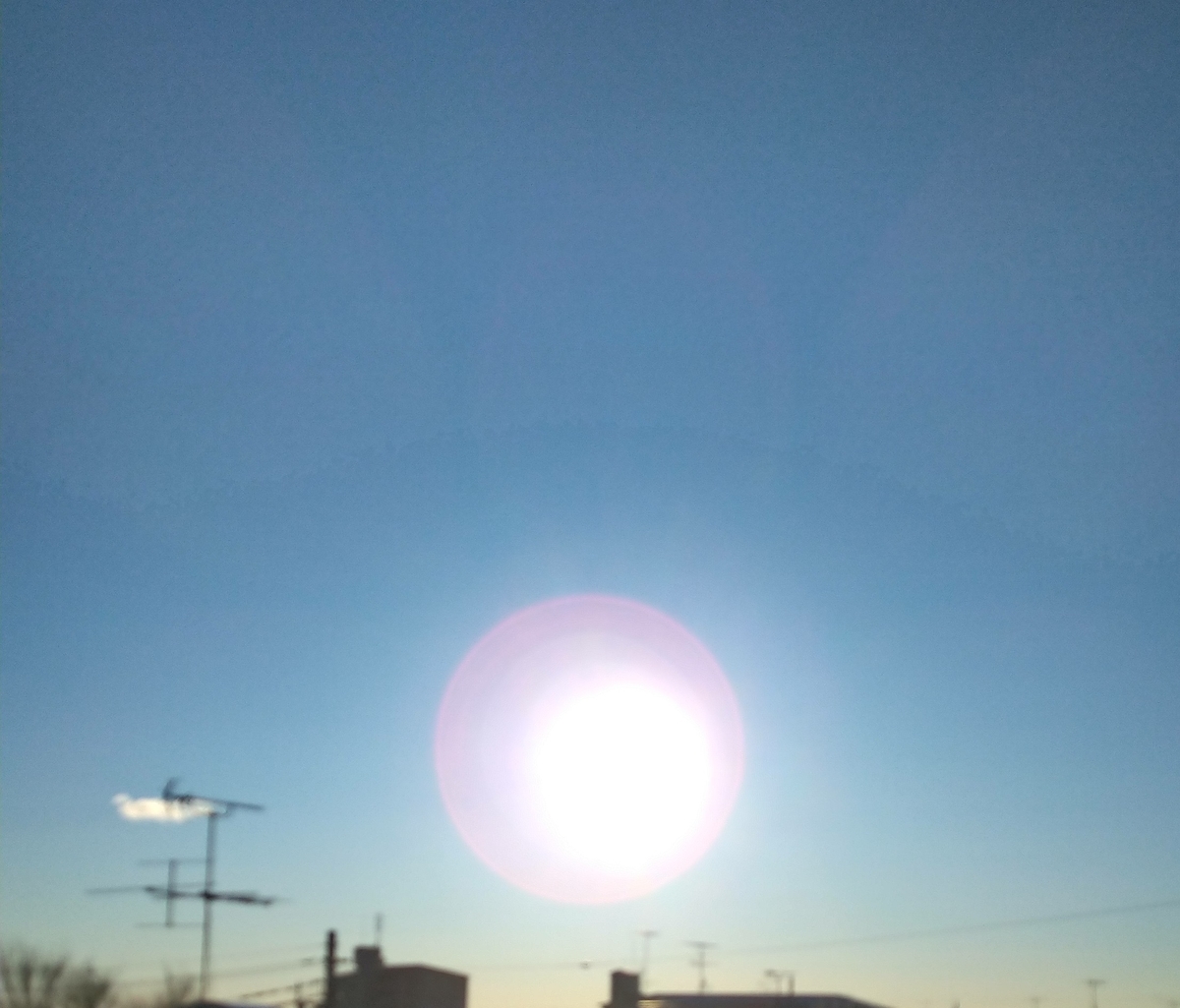 f:id:airaingood:20210101231721j:plain