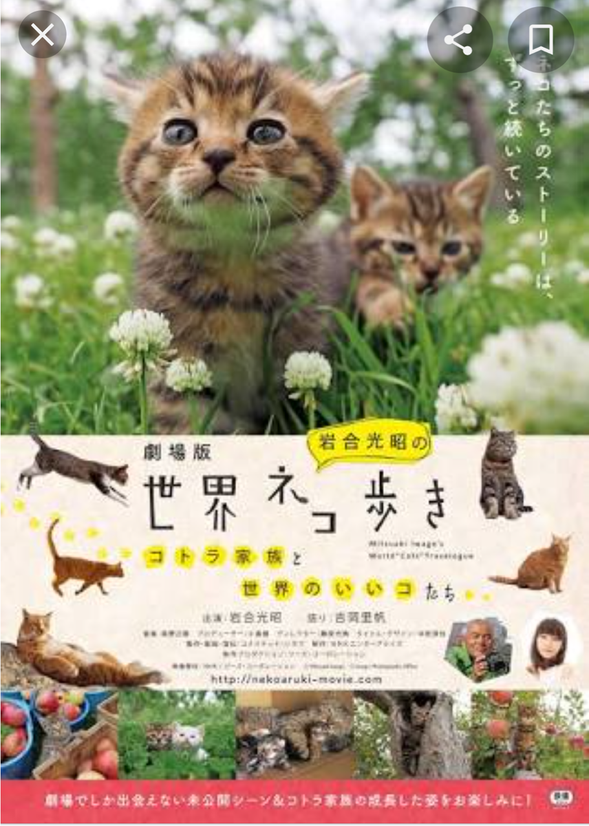 f:id:airaingood:20210102122451p:plain