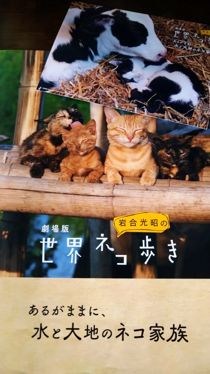 f:id:airaingood:20210108135221j:plain