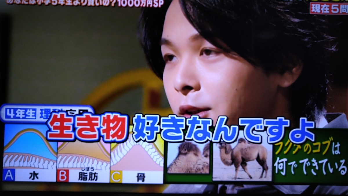 f:id:airaingood:20210115205840j:plain