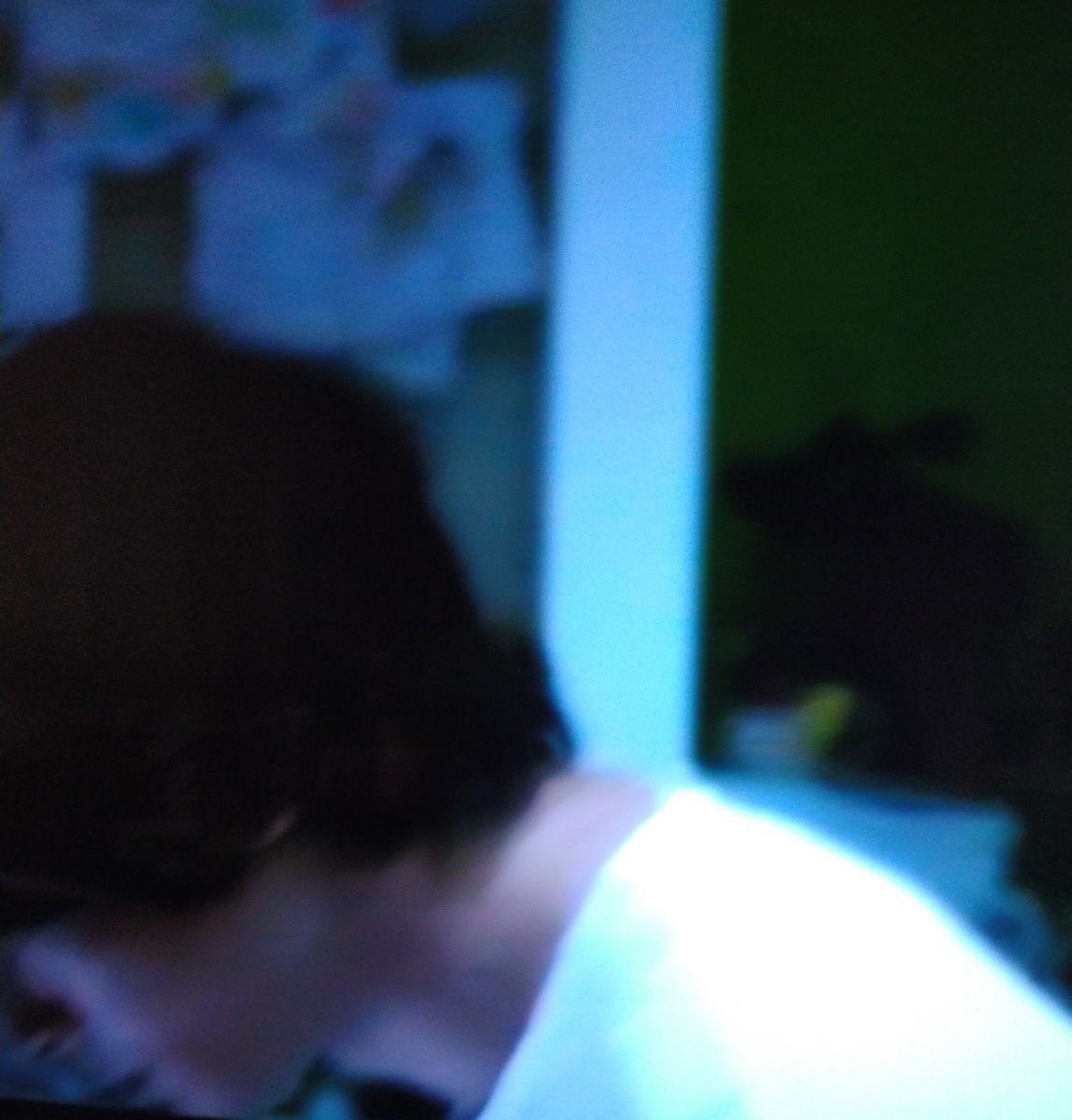 f:id:airaingood:20210117121355j:plain