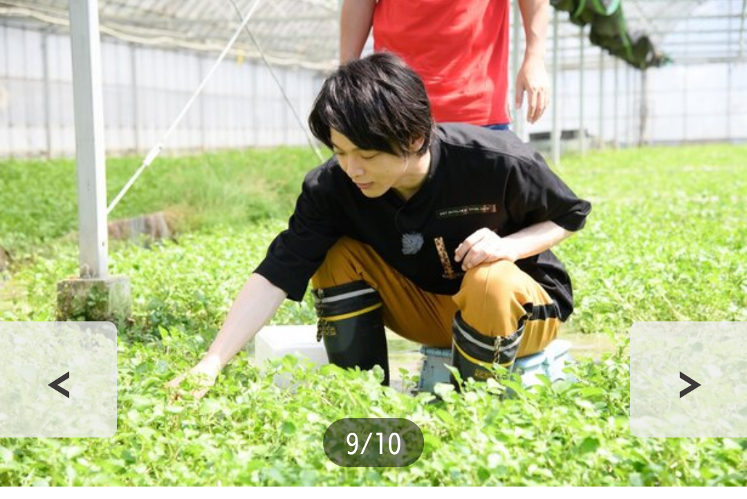 f:id:airaingood:20210216192701p:plain