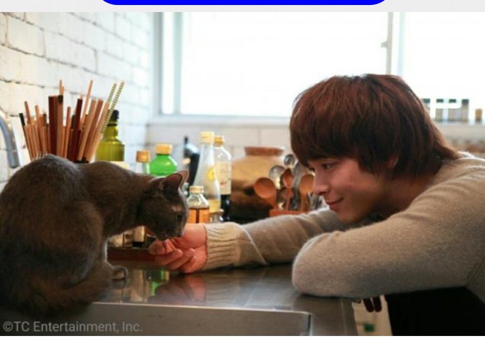 f:id:airaingood:20210222070922p:plain