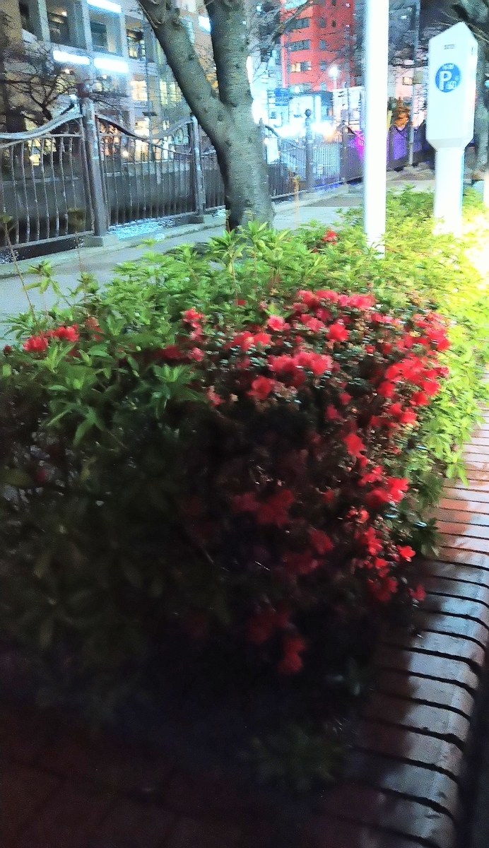 f:id:airaingood:20210306214511j:plain