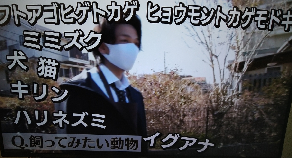 f:id:airaingood:20210319141706j:plain