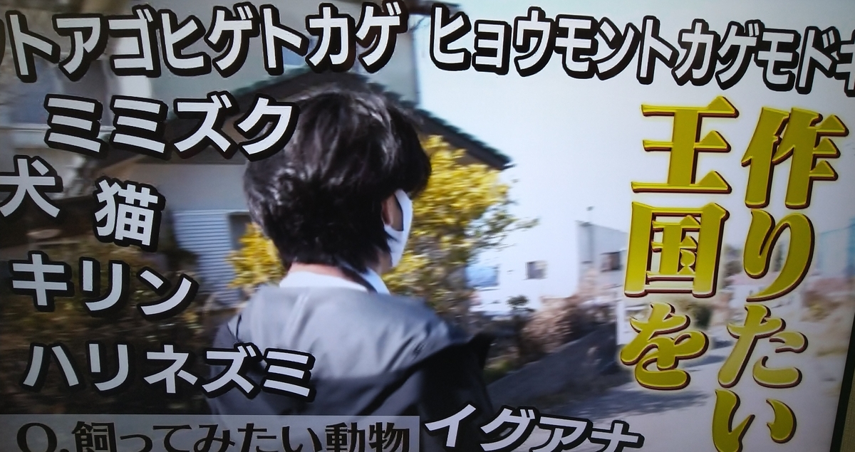 f:id:airaingood:20210319141906j:plain