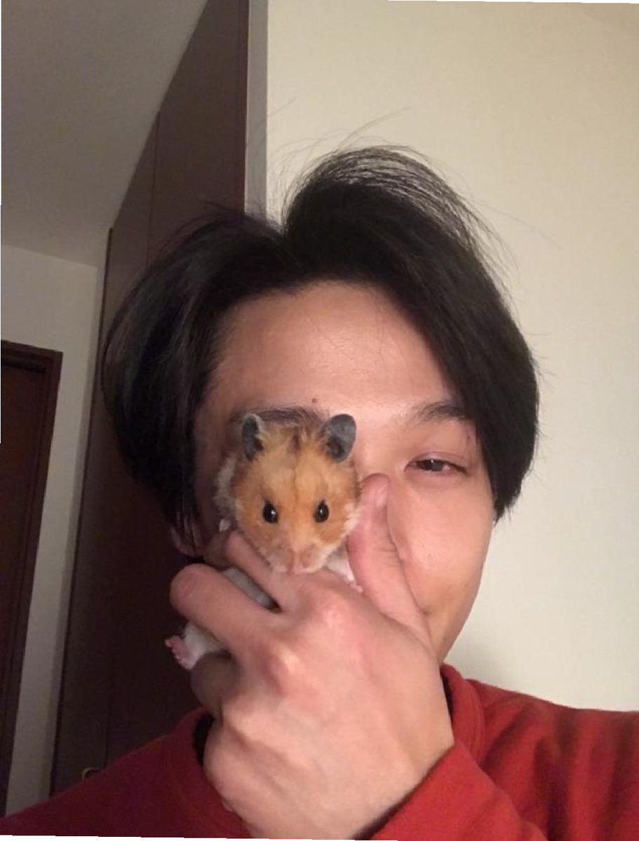 f:id:airaingood:20210327234219p:plain