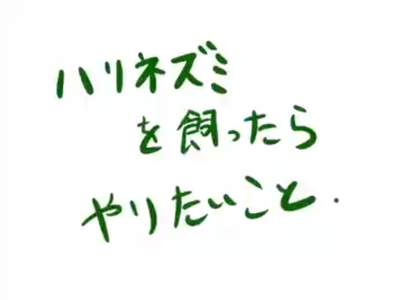 f:id:airaingood:20210401152907p:plain
