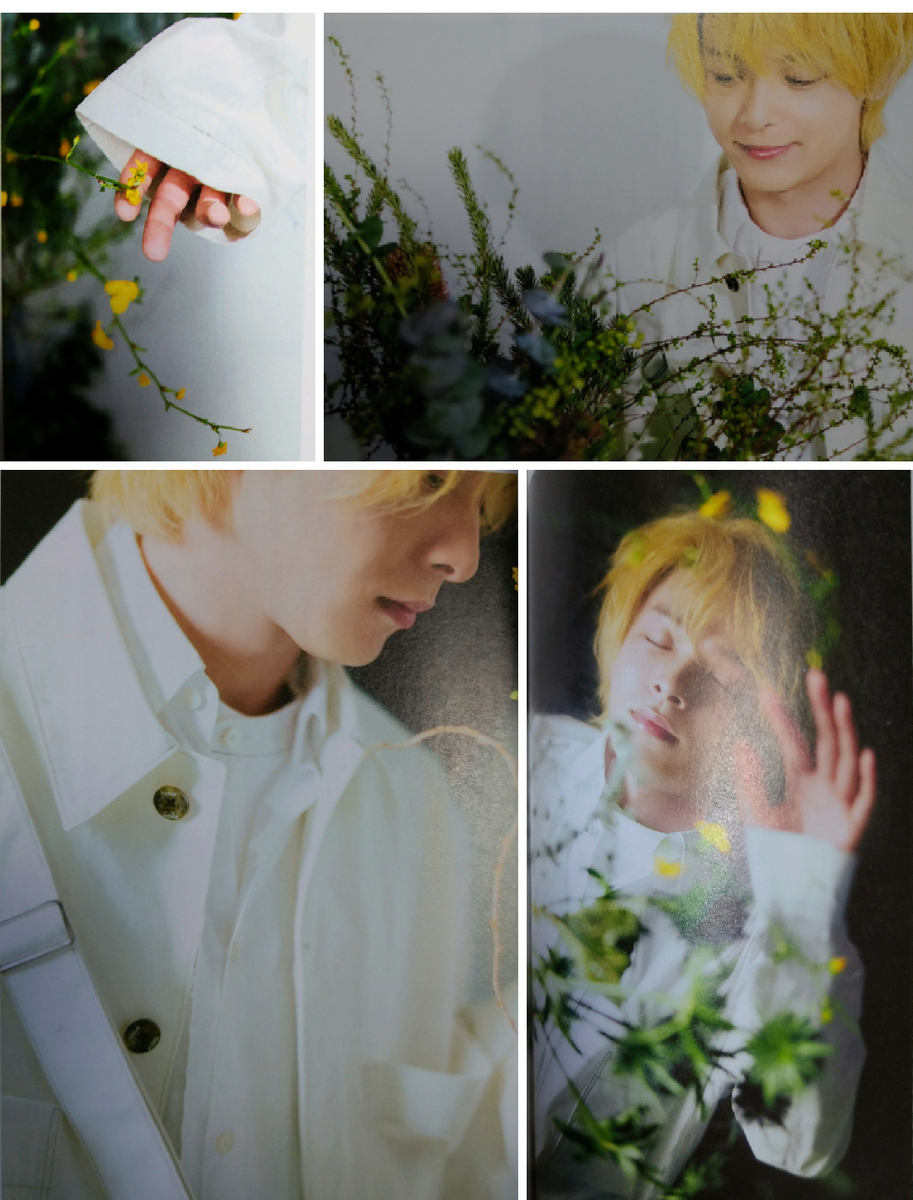 f:id:airaingood:20210410150749p:plain