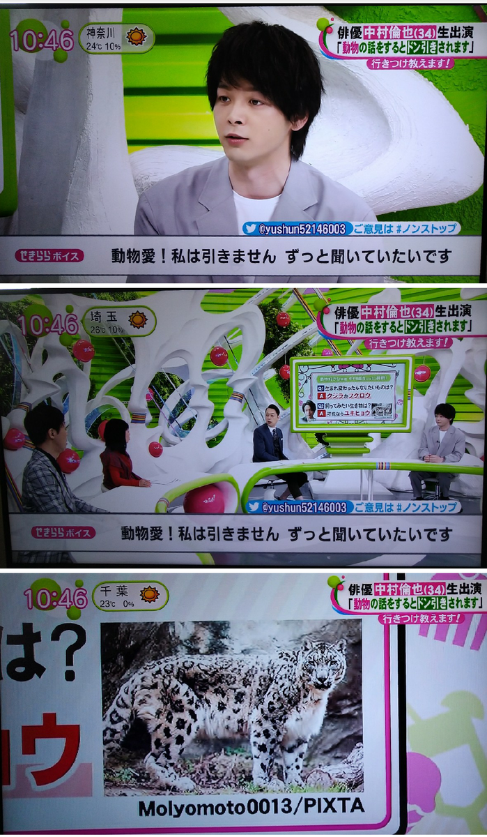 f:id:airaingood:20210420115550p:plain