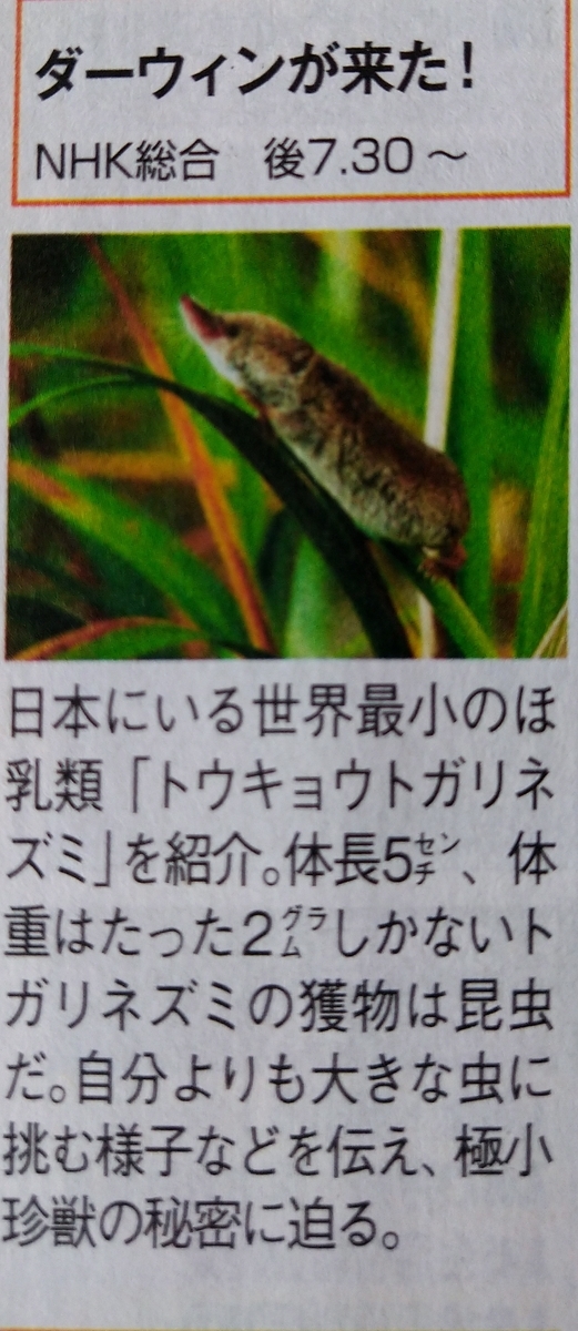 f:id:airaingood:20210425114815j:plain