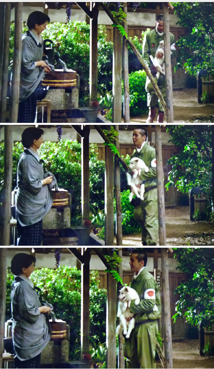 f:id:airaingood:20210721165830p:plain