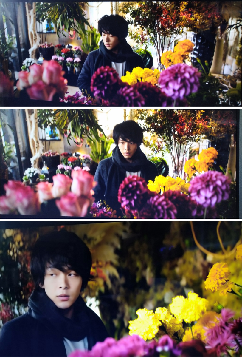 f:id:airaingood:20210810214142p:plain