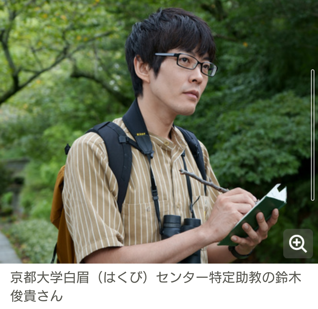 f:id:airaingood:20210921203749p:plain