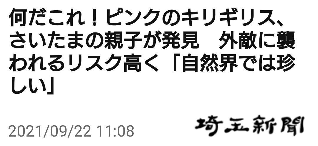 f:id:airaingood:20210923122009p:plain