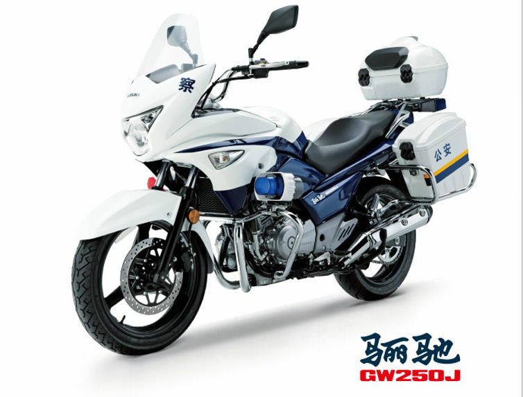 スズキGSR250 大容量パニア、USBx2、Gヒーター ETC,多数カスタムスズキ
