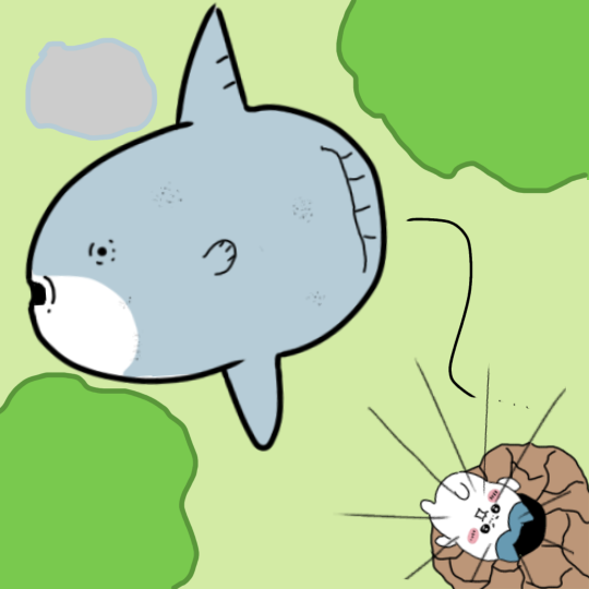 マンボウから落下するハチワレのイラスト