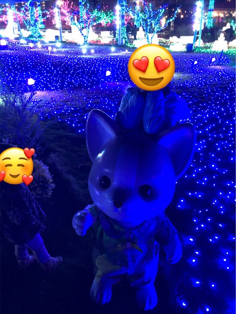 f:id:airei-mama:20211211004619j:image f:id:airei-mama:20211211004619j:image